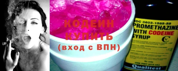 бошки Бородино